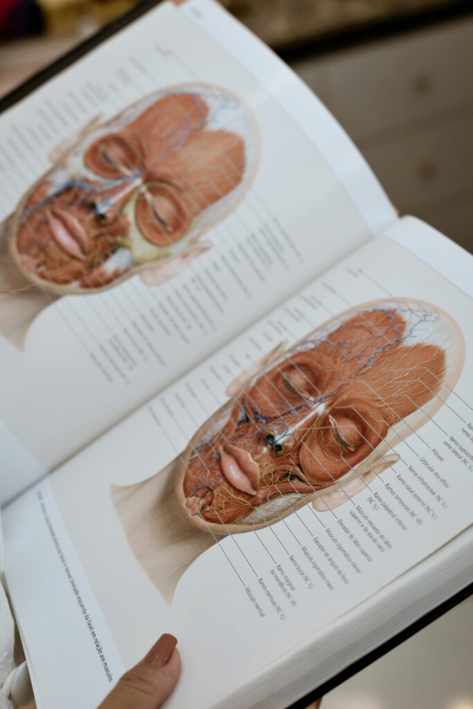 Detailed anatomical illustration of facial structures in an open medical book.
